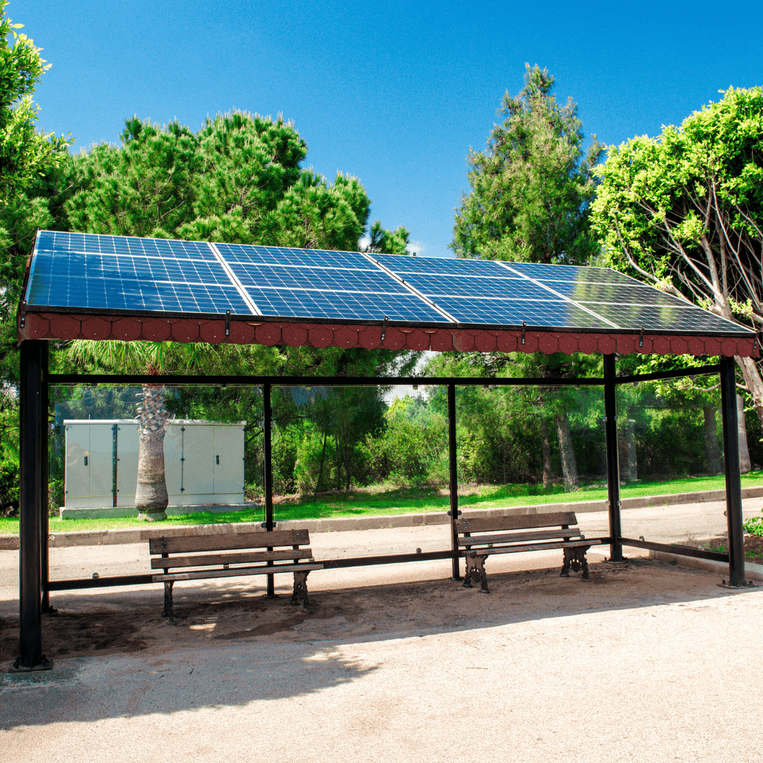 capstone-image_sophia