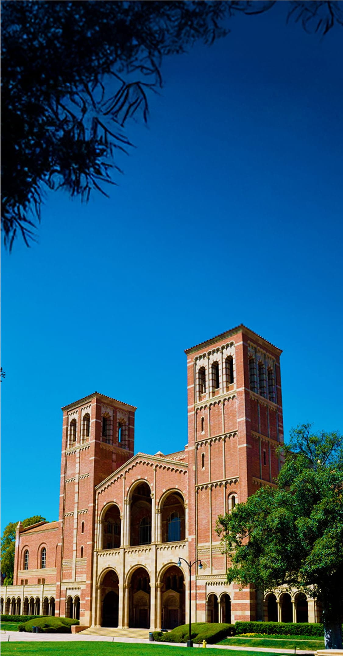 Поступление на магистратуру и аспирантуру