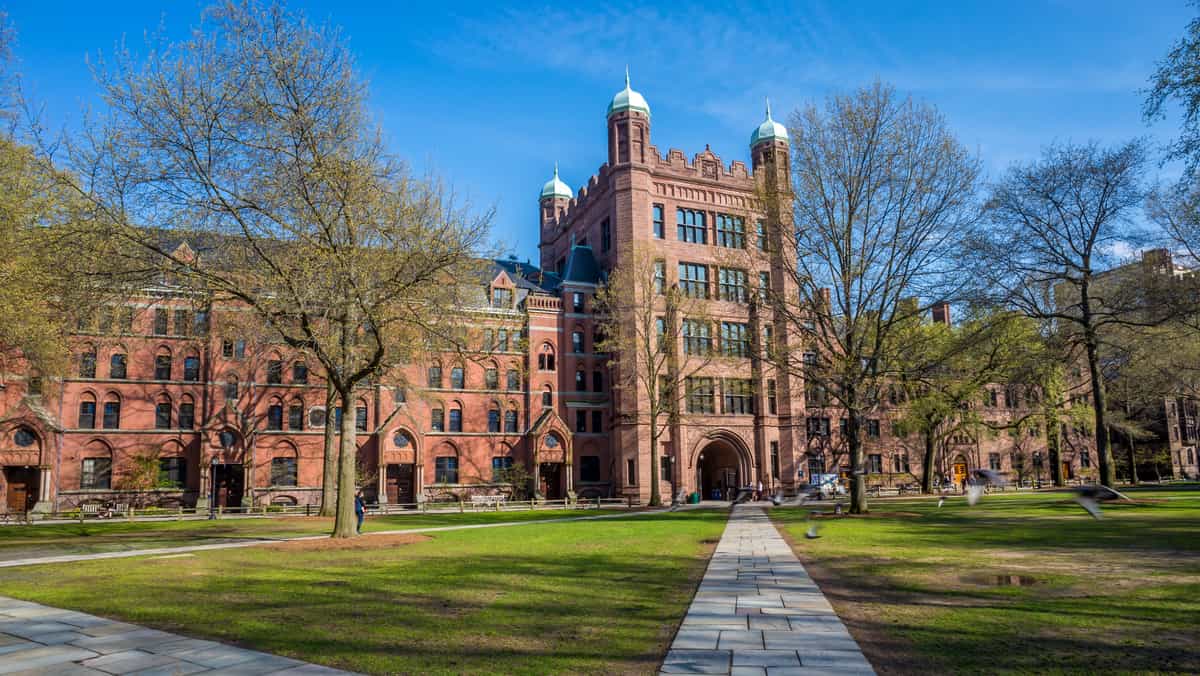 With an acceptance rate of only 4% Yale is ranked as one of the hardest universities to get into. Read this blog to learn more on how to get into Yale