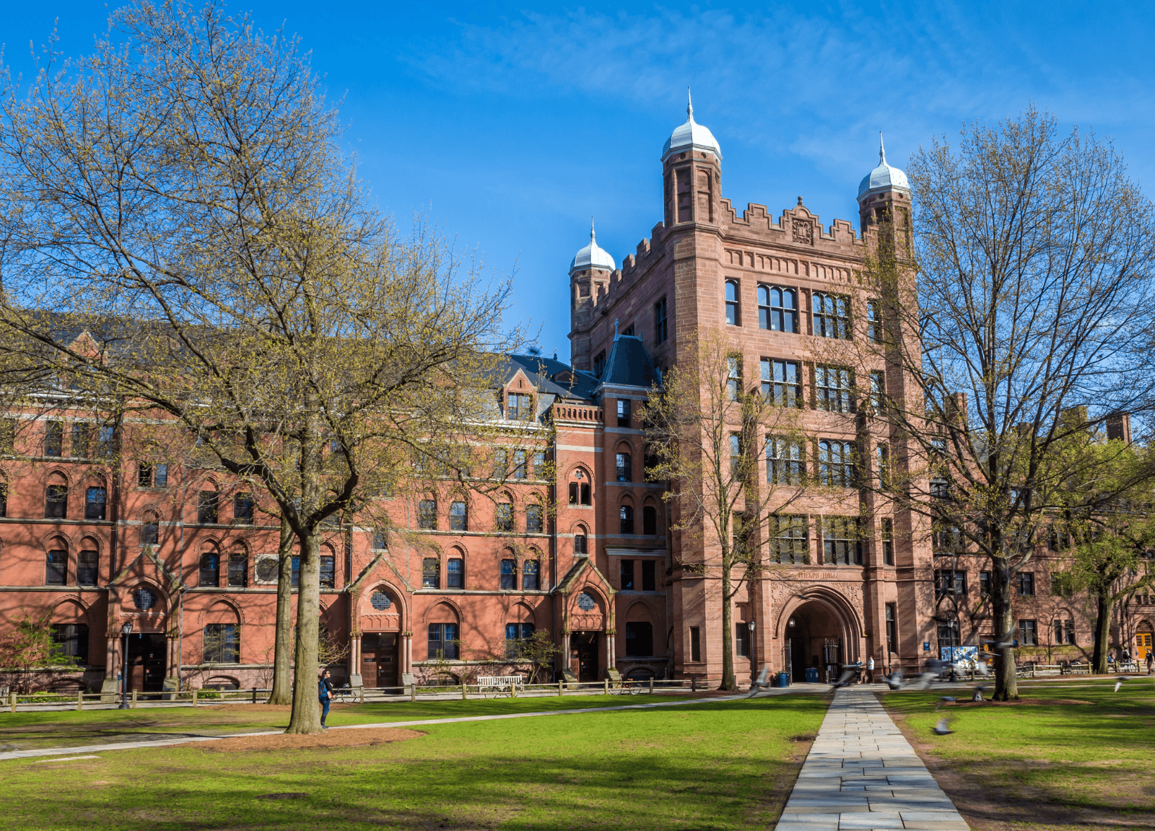 How to get into an Ivy League School? The Essential Guide