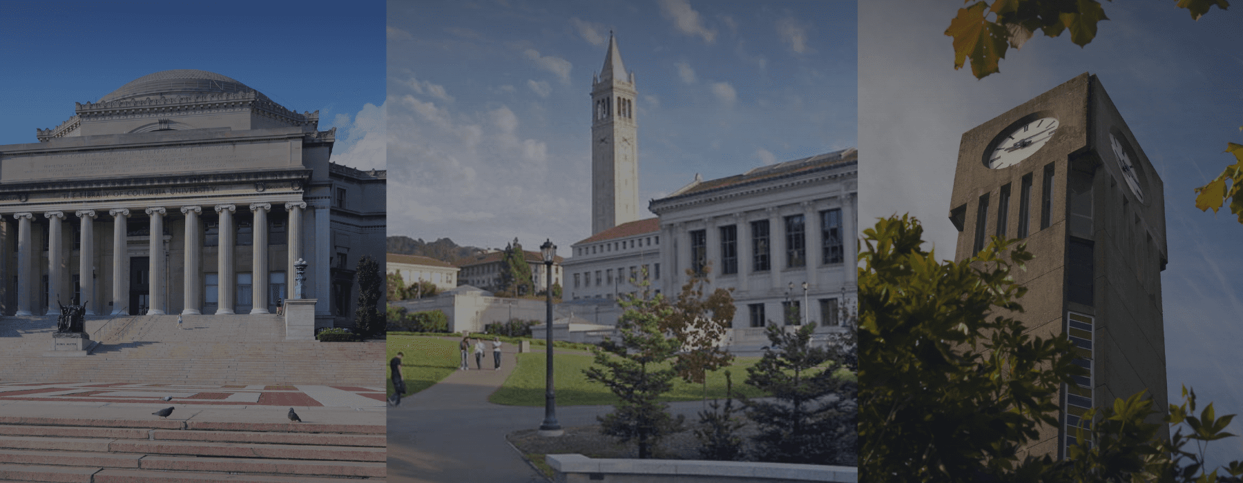 藤校学位值千金？Crimson CEO 剖析藤校教育价值 + 中国学生突围策略