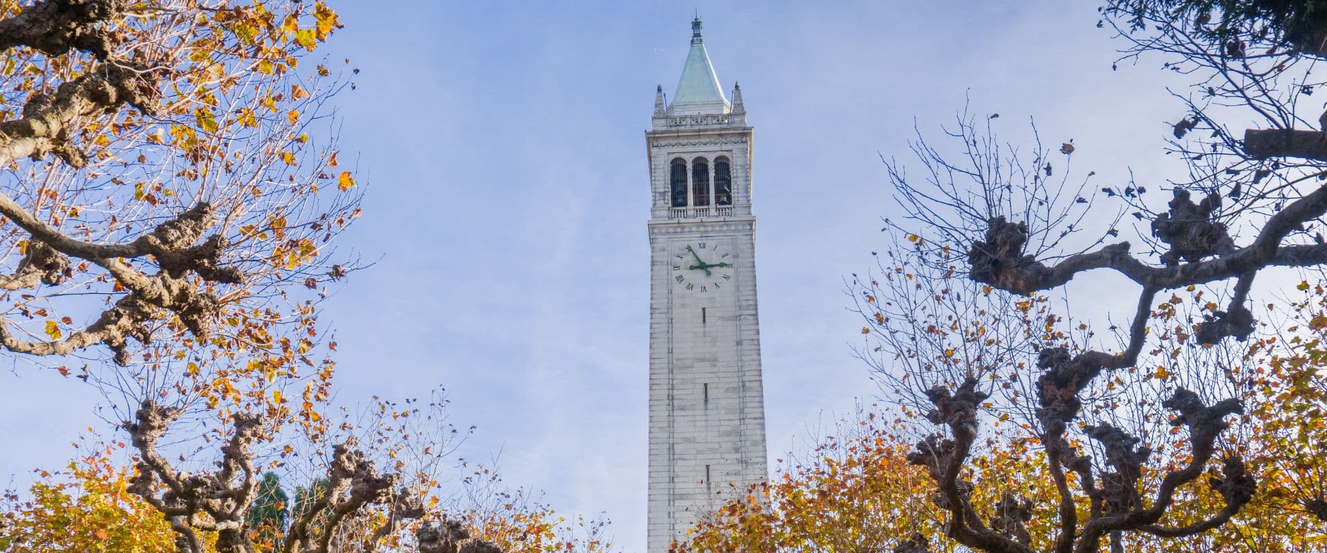 加州大学入学指南：如何获得录取