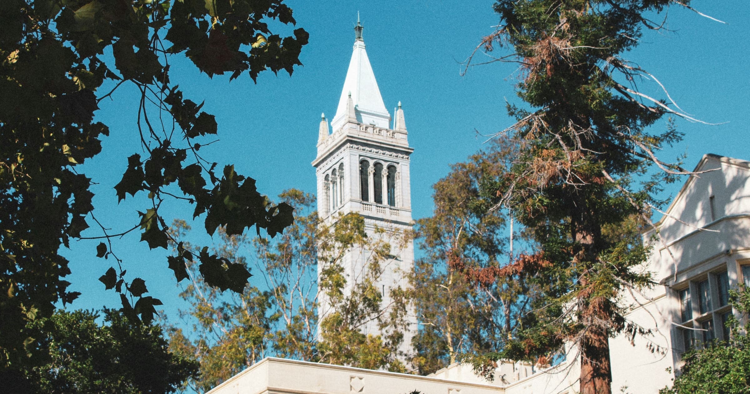 Система University of California: как поступить в Калифорнийский университет и какой кампус выбрать