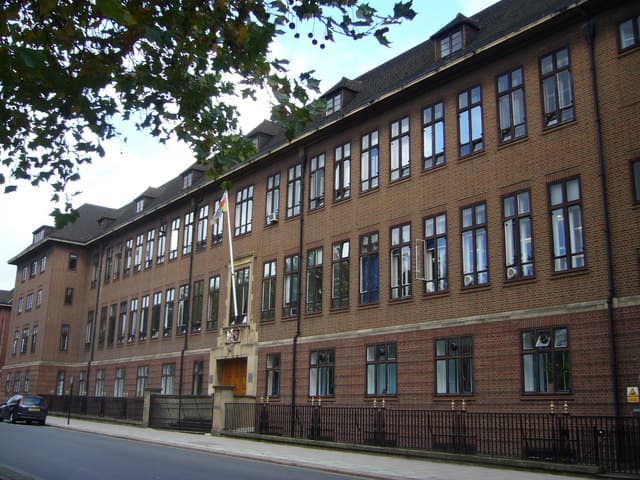 The Best Veterinary Schools for Aspiring Vets