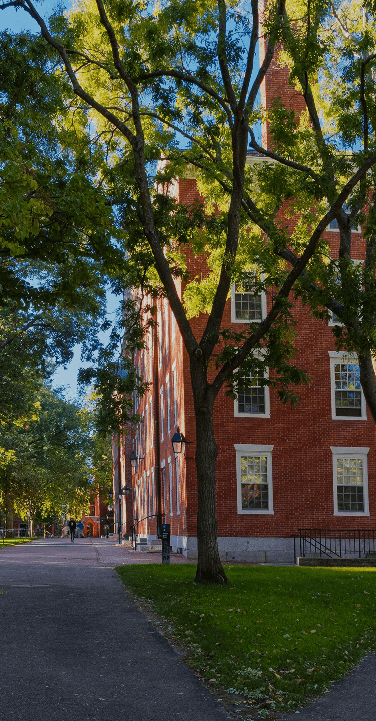 How To Get Into Harvard University