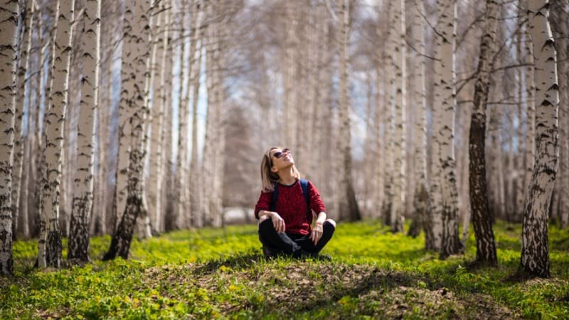 A photo with a forest of birch trees and a young woman sitting on the grass looking up at the tree tops