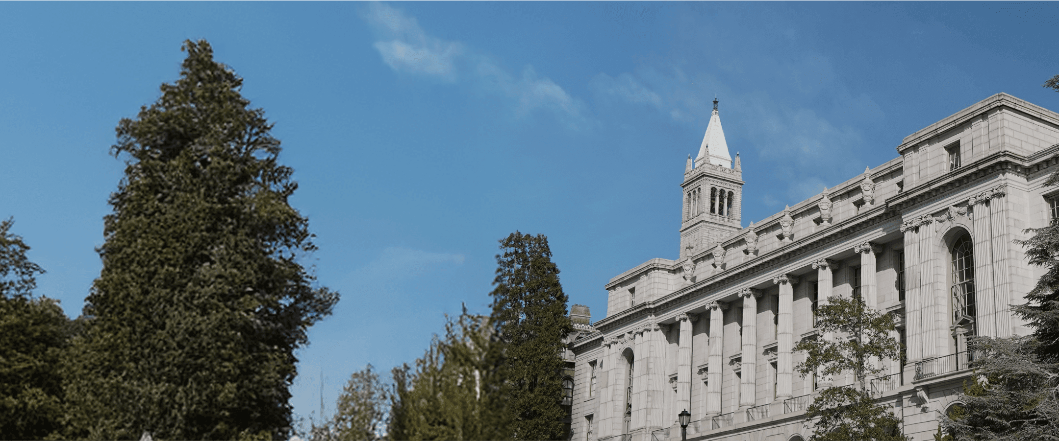 Join Our Team and Shape the Future With Us.