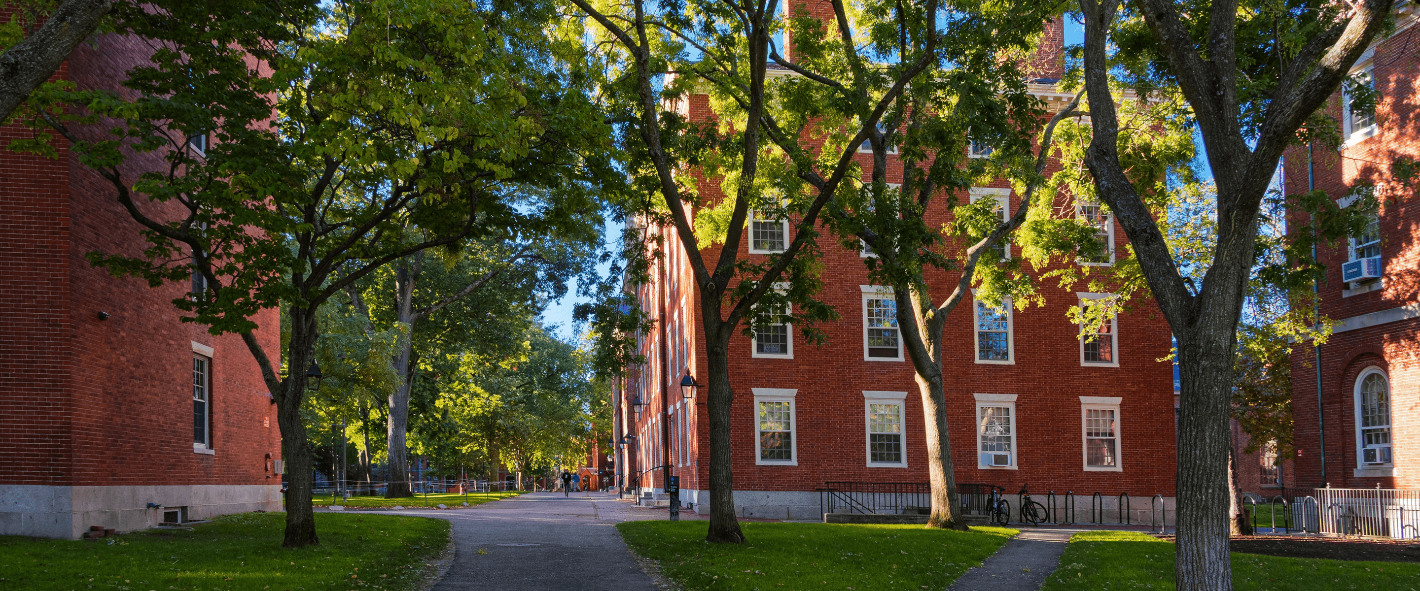 How To Get Into Harvard University