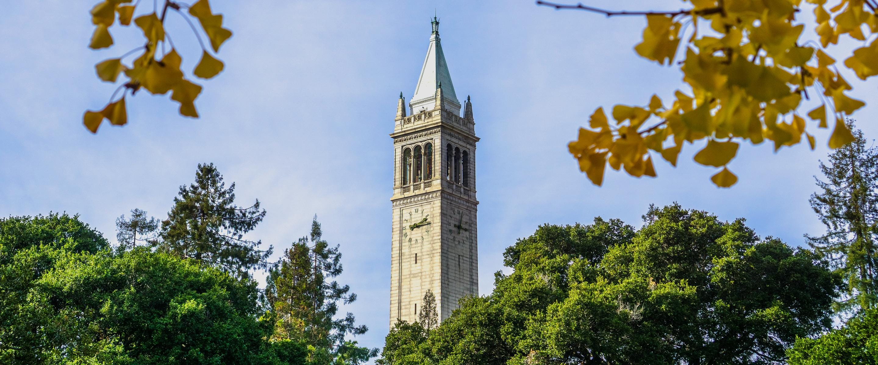 How to Get Into UC Berkeley