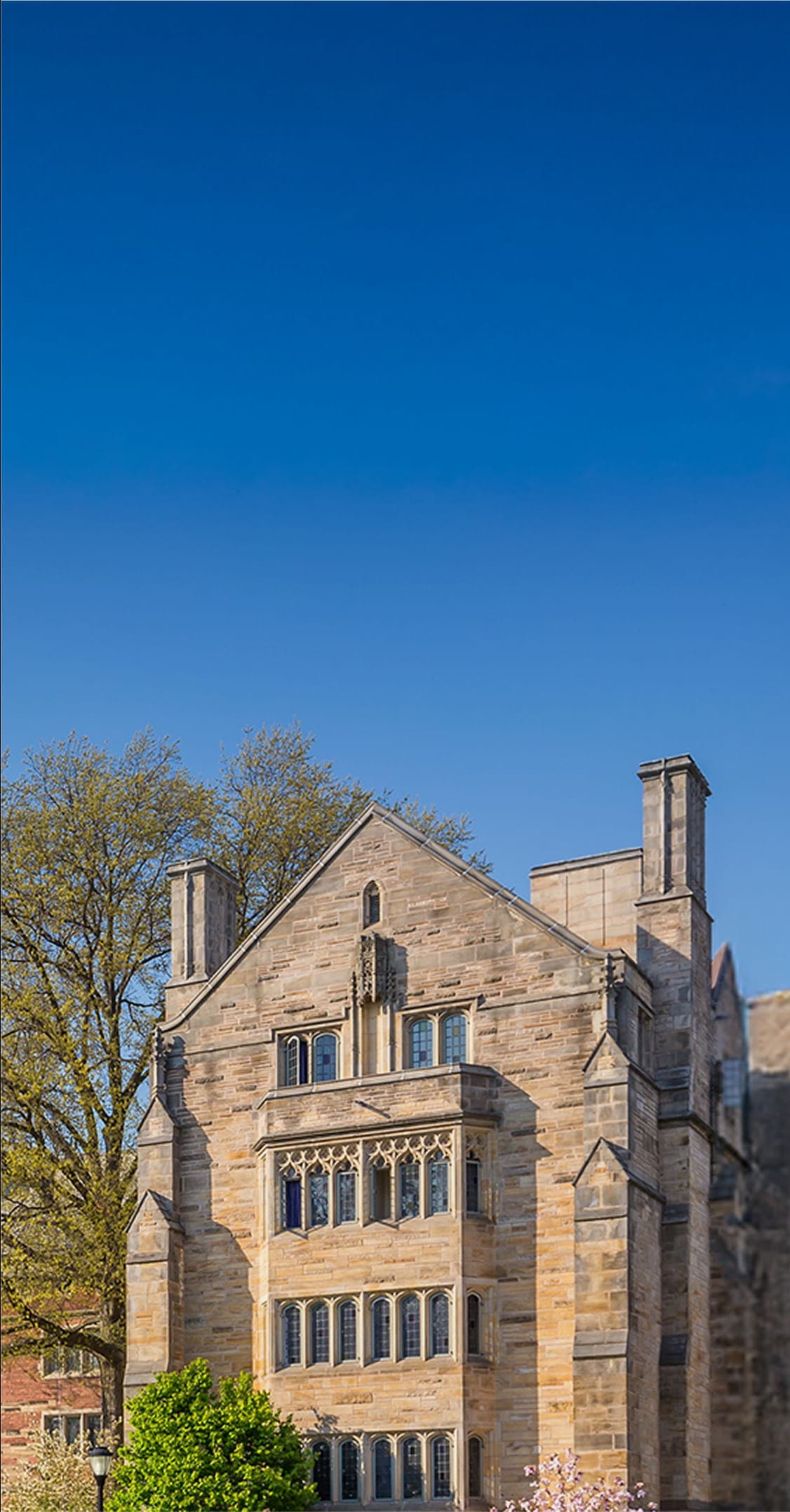 Crimson升学梦之队