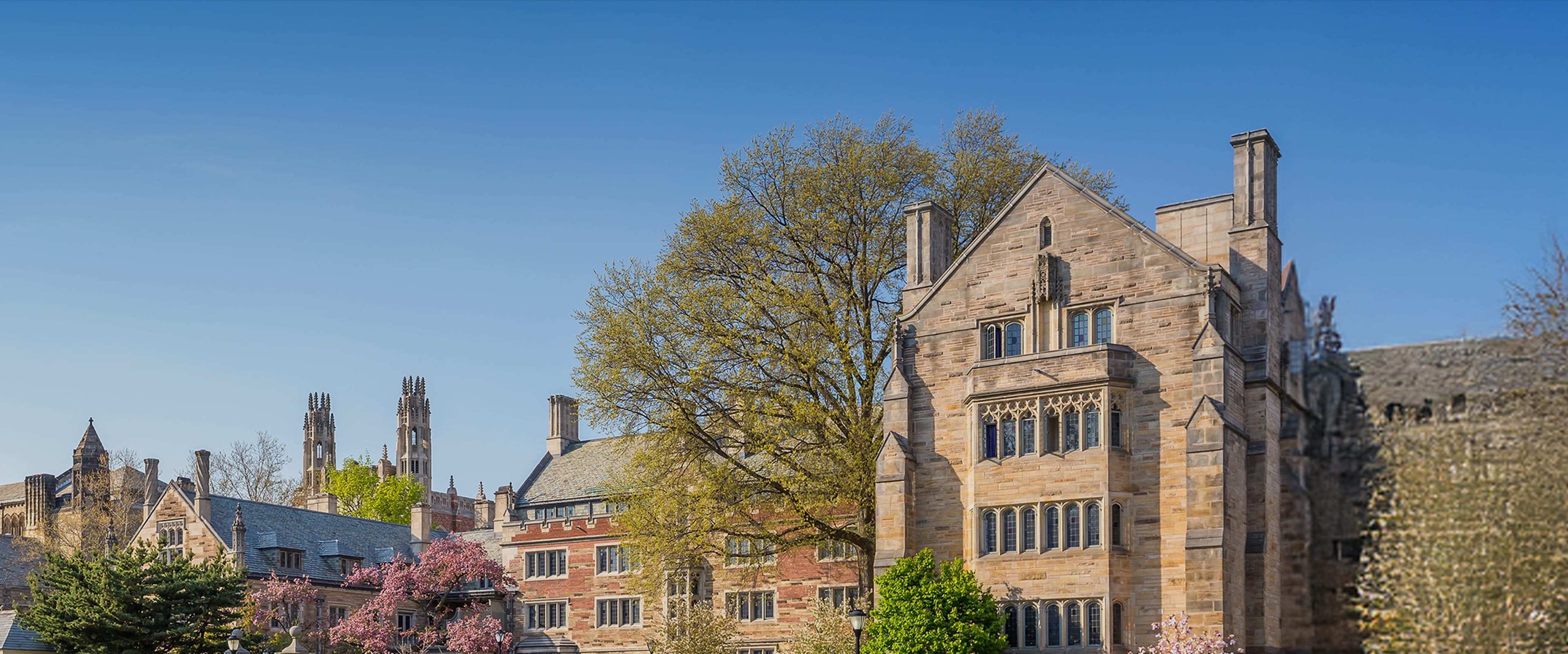 Crimson升学梦之队